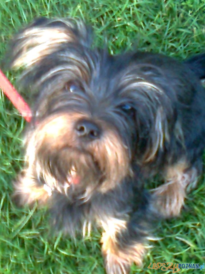 Beata Kita Czerniak a Foto: Beata Kita Czerniak a Foto: