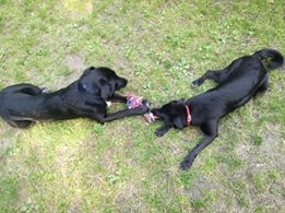 Anna Machnik Foto: Anna Machnik Foto: