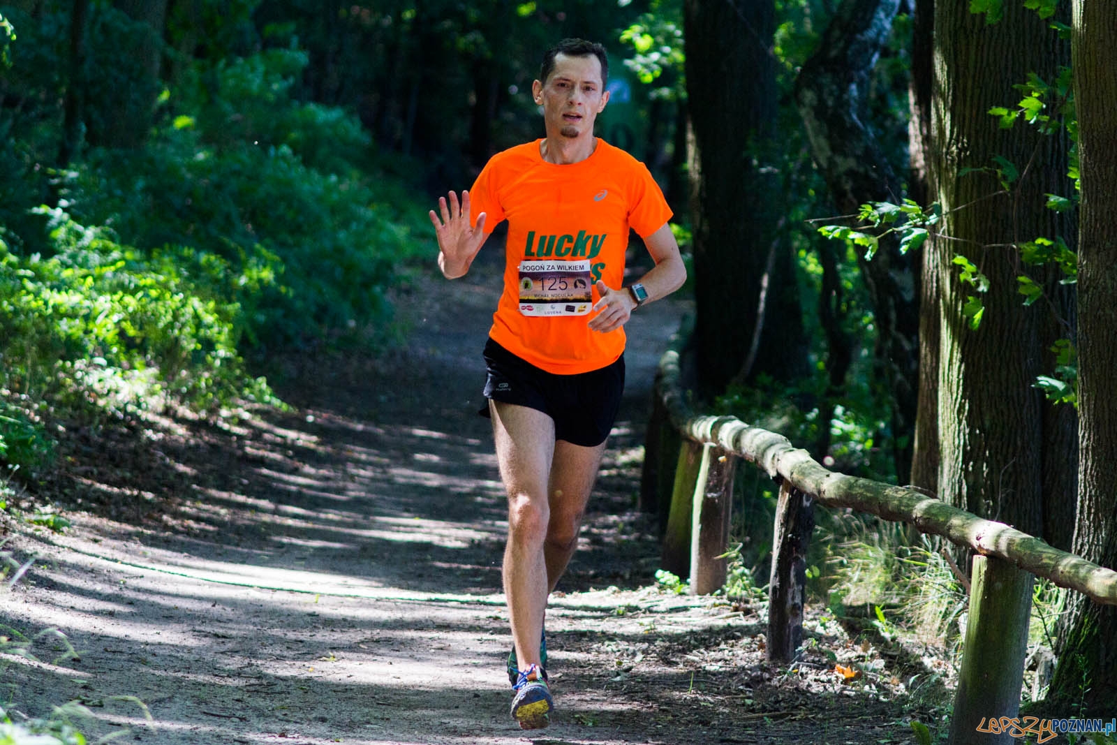 Pogoń za Wilkiem Foto: lepszyPOZNAN.pl / Ewelina Jaśkowiak Pogoń za Wilkiem Foto: lepszyPOZNAN.pl / Ewelina Jaśkowiak