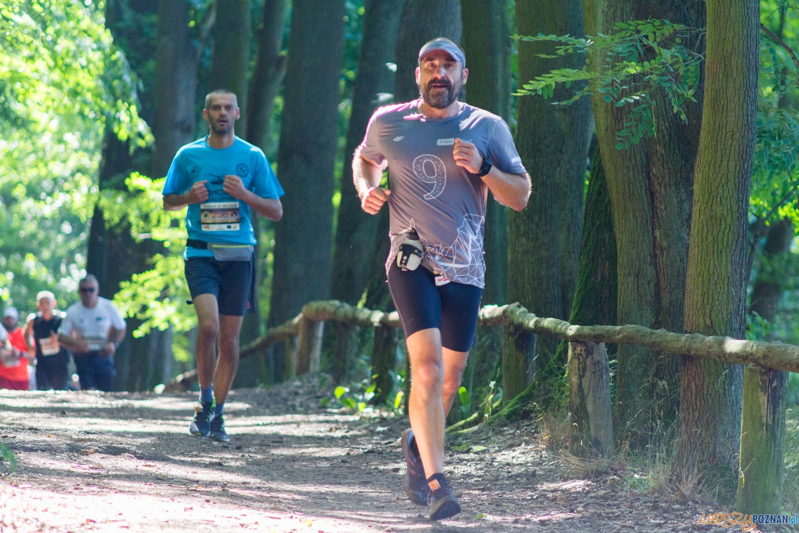 Pogoń za Wilkiem Foto: lepszyPOZNAN.pl / Ewelina Jaśkowiak Pogoń za Wilkiem Foto: lepszyPOZNAN.pl / Ewelina Jaśkowiak