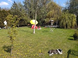 Katarzyna Wieczorek Kropka Foto: Katarzyna Wieczorek Kropka Foto: