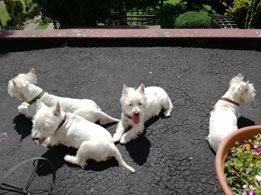 Angelika Maleńka Foto: Angelika Maleńka Foto: