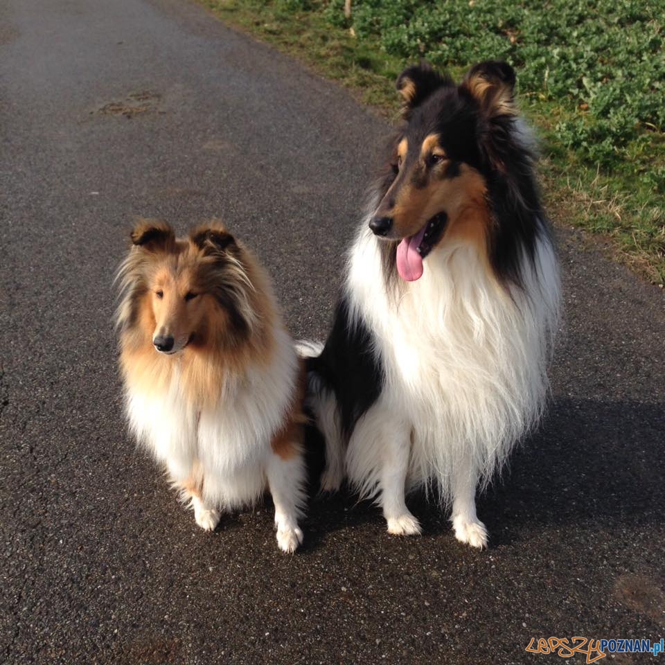 Pia Østergaard Jensen Foto: Pia Østergaard Jensen Foto: