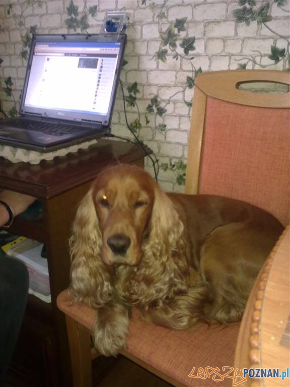 Jacek Tomczak Foto: Jacek Tomczak Foto: