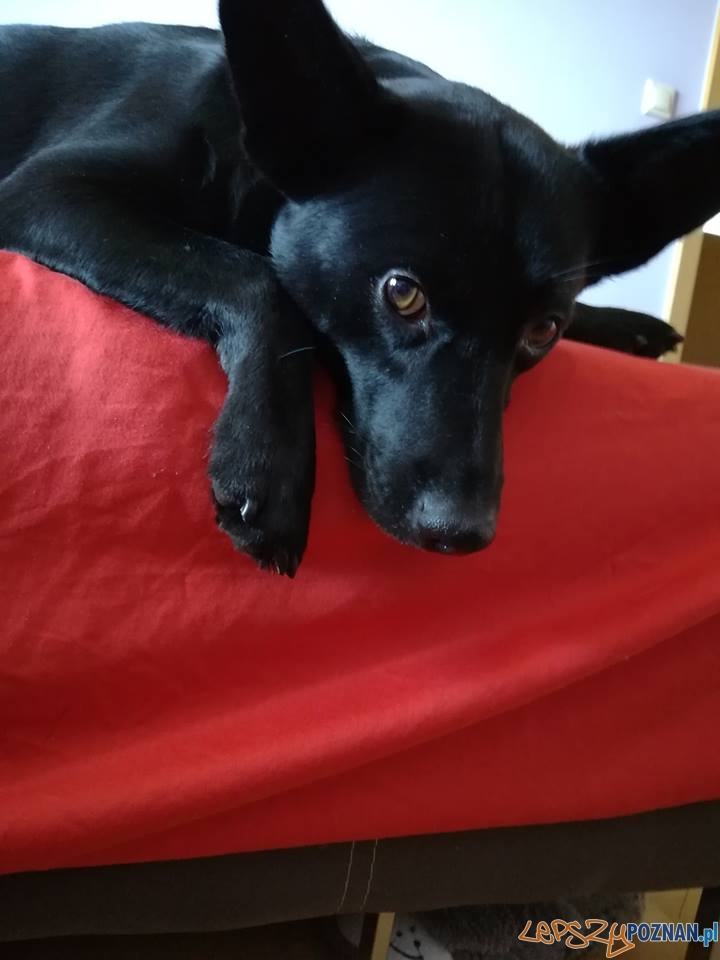 Iza Kaczmarek Maniuś Foto: Iza Kaczmarek Maniuś Foto: