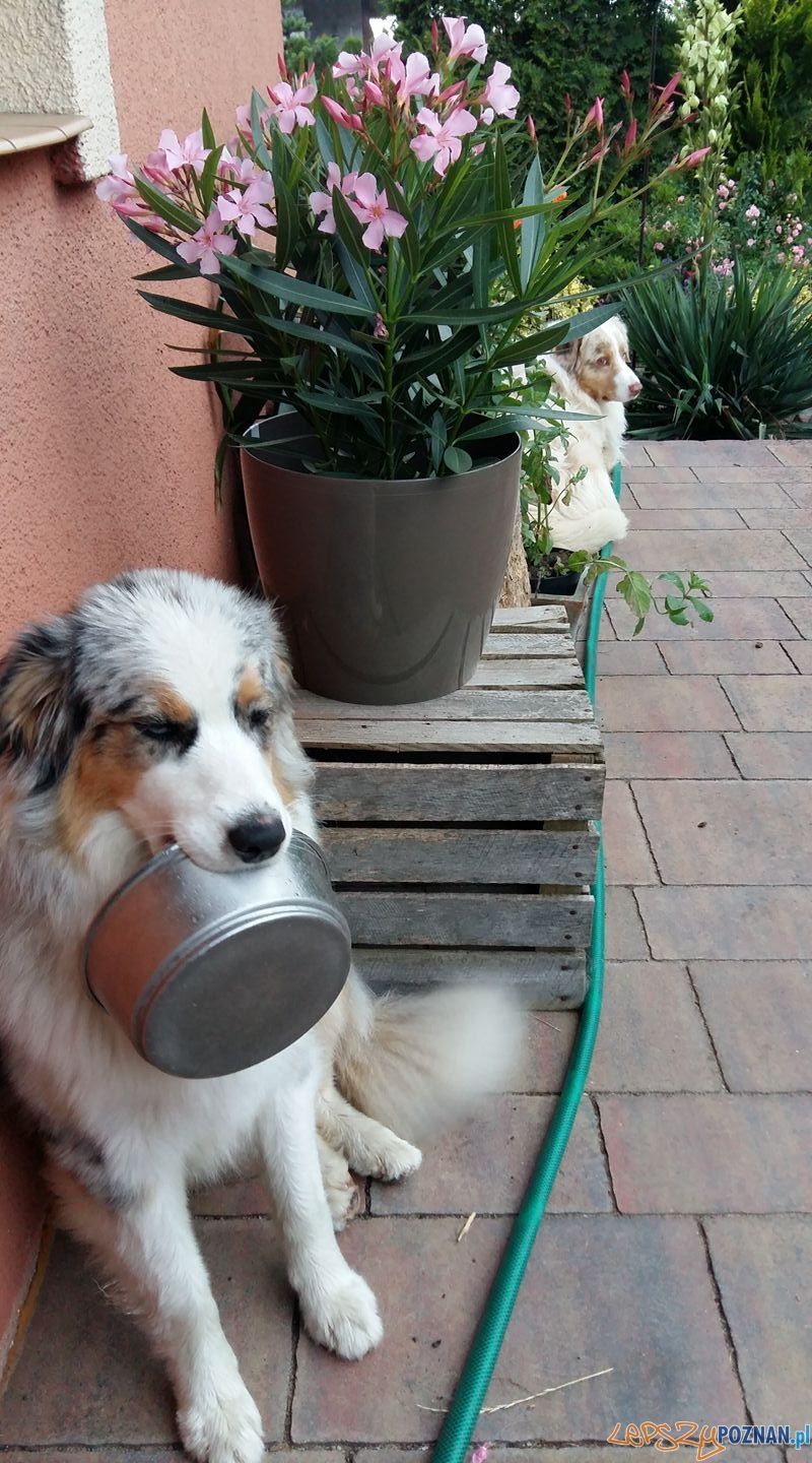 Magdalena Sołtysiak Foto: Magdalena Sołtysiak Foto: