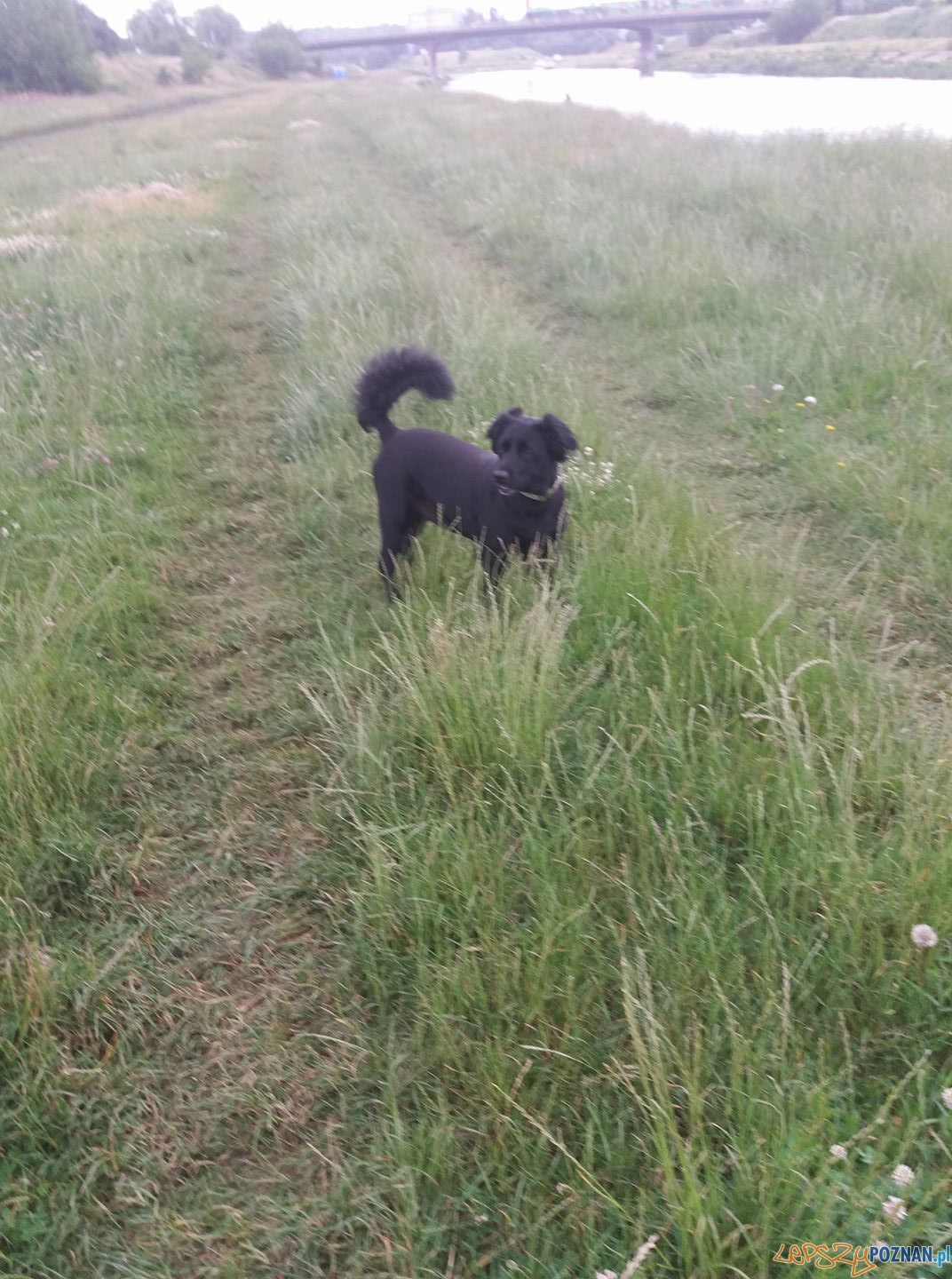 Tomasz Błoch - Didi Foto: Tomasz Błoch - Didi Foto: