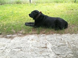 Włodek Kurkowiak Foto: Włodek Kurkowiak Foto: