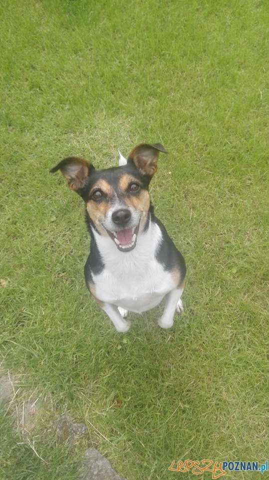 Kasia Czajka Lala Foto: Kasia Czajka Lala Foto: