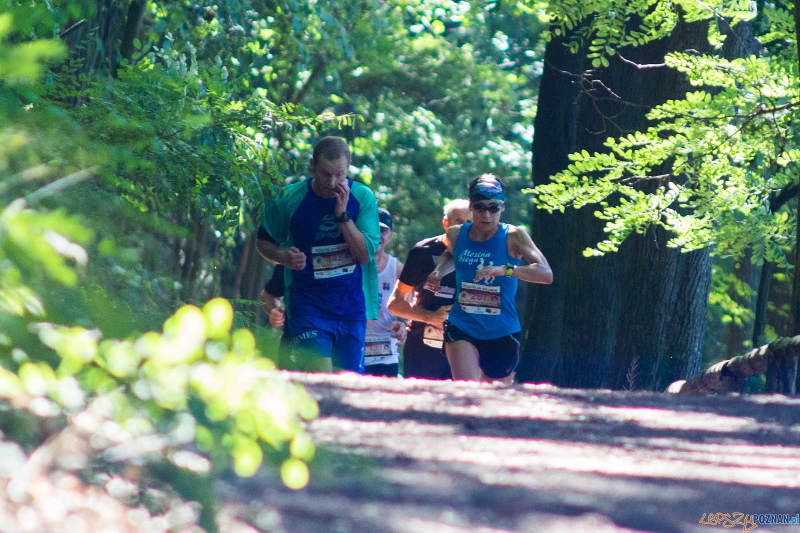 Pogoń za Wilkiem Foto: lepszyPOZNAN.pl / Ewelina Jaśkowiak Pogoń za Wilkiem Foto: lepszyPOZNAN.pl / Ewelina Jaśkowiak