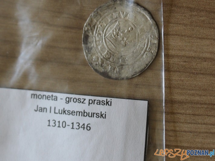 Monety znalezione podczas nielegalnych wykopalisk Foto: Policja Poznań Monety znalezione podczas nielegalnych wykopalisk Foto: Policja Poznań