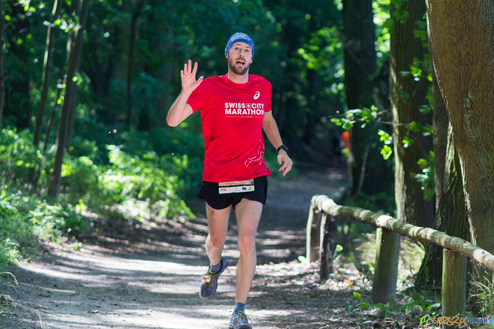 Pogoń za Wilkiem Foto: lepszyPOZNAN.pl / Ewelina Jaśkowiak Pogoń za Wilkiem Foto: lepszyPOZNAN.pl / Ewelina Jaśkowiak