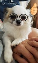 Izabela Żurek Ivo Foto: Izabela Żurek Ivo Foto: