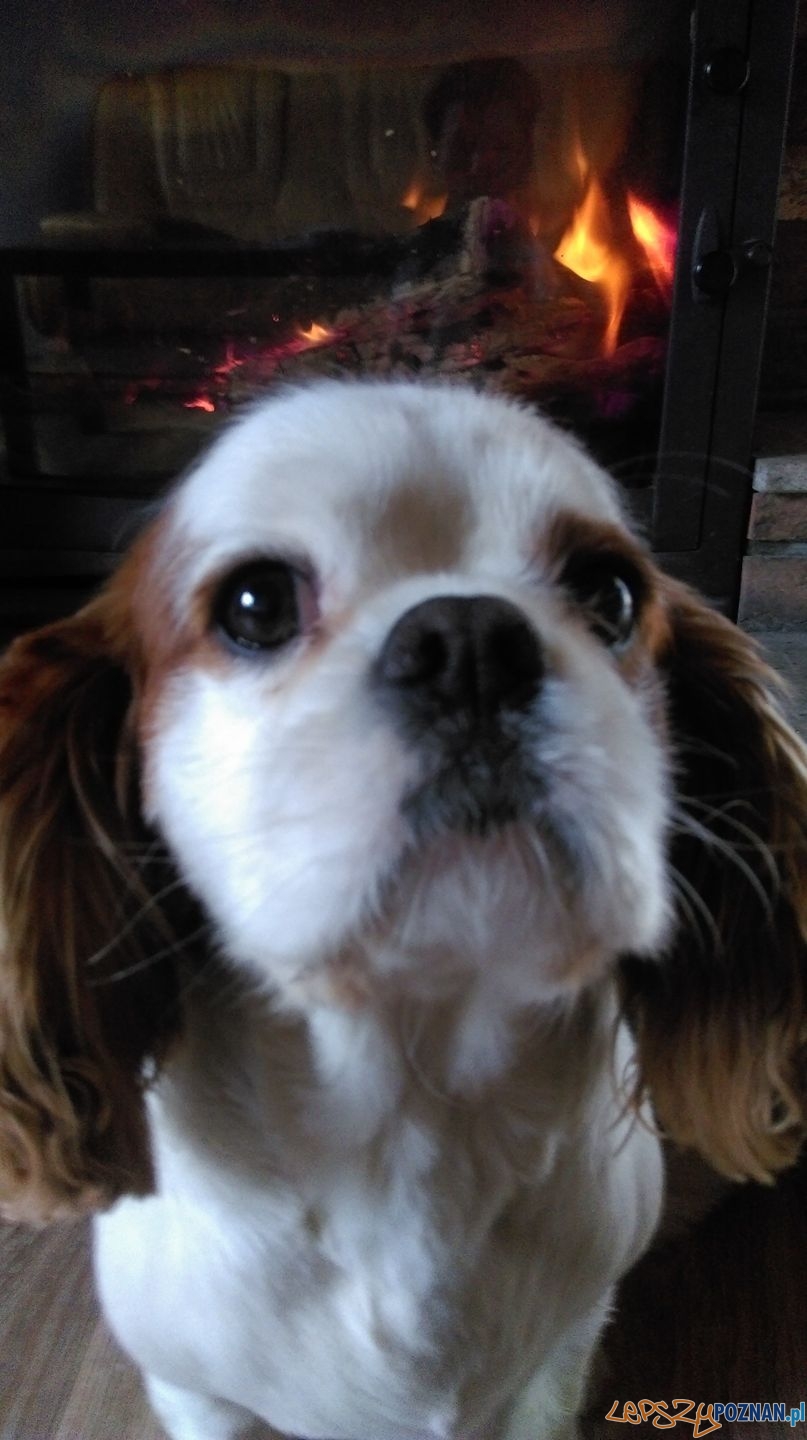 Monika Sibrecht Foto: Monika Sibrecht Foto: