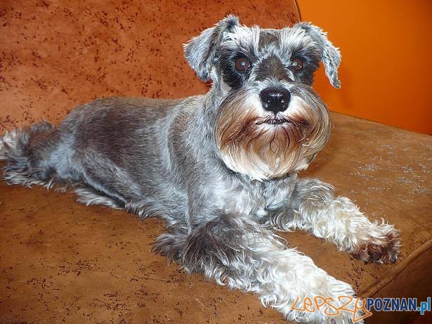 Małgorzata Kujawa - Tosia Foto: Małgorzata Kujawa - Tosia Foto: