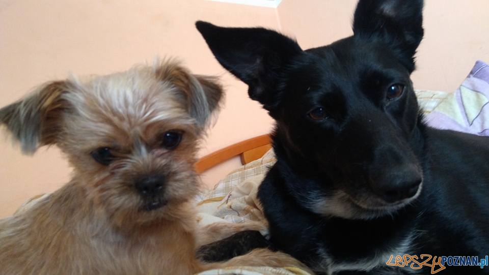 Kinga Piatek Foto: Kinga Piatek Foto: