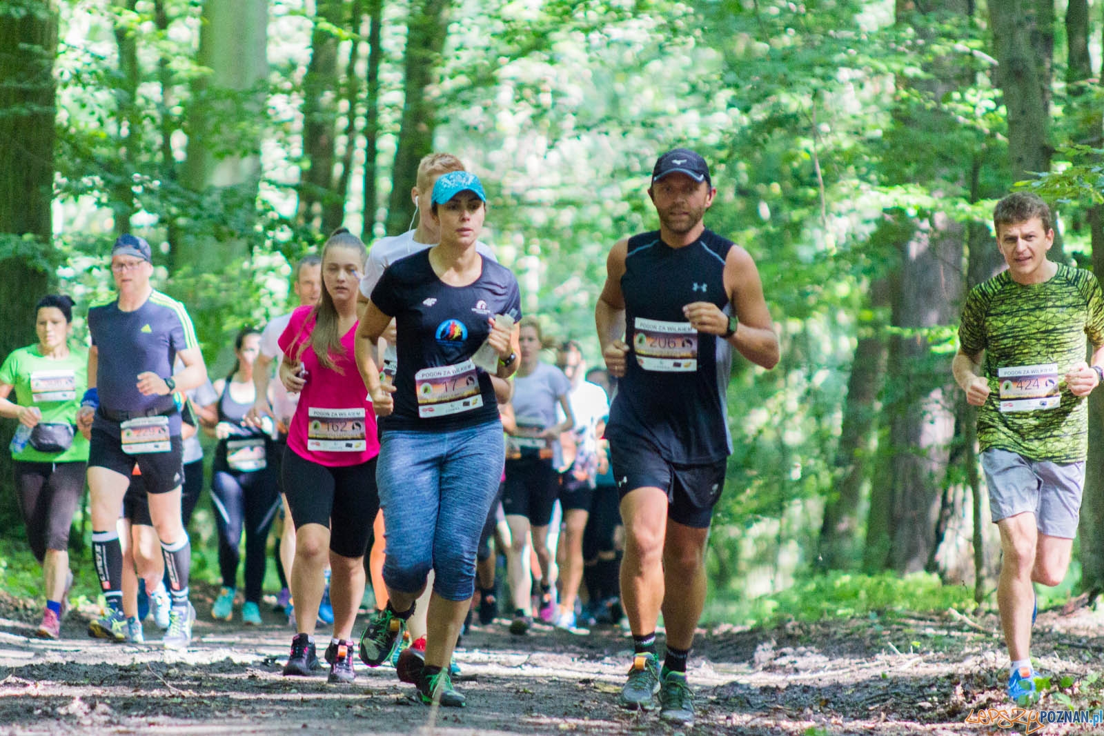 Pogoń za Wilkiem Foto: lepszyPOZNAN.pl / Ewelina Jaśkowiak Pogoń za Wilkiem Foto: lepszyPOZNAN.pl / Ewelina Jaśkowiak