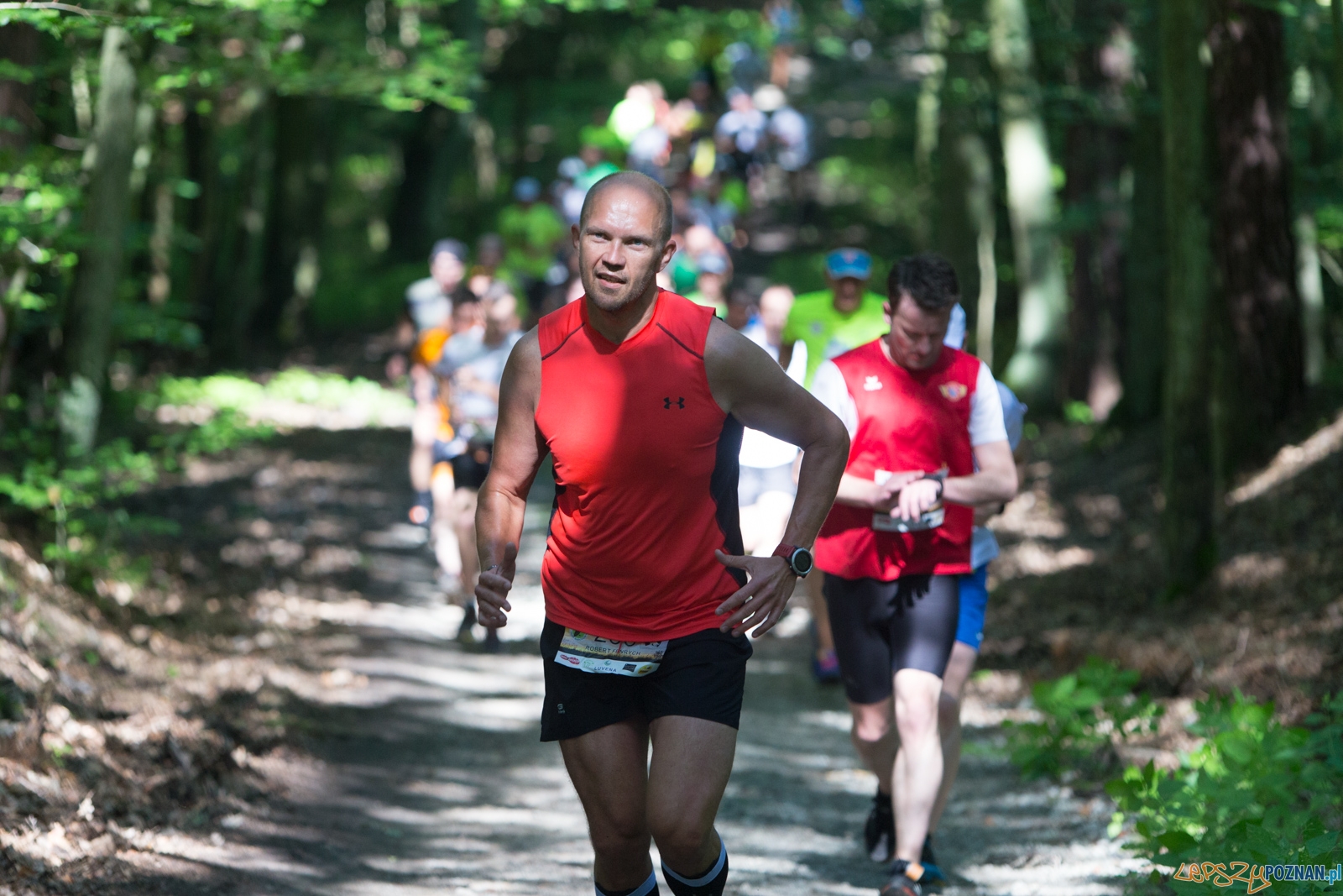 Pogoń za Wilkiem 2017 Foto: lepszyPOZNAN.pl/Piotr Rychter Pogoń za Wilkiem 2017 Foto: lepszyPOZNAN.pl/Piotr Rychter