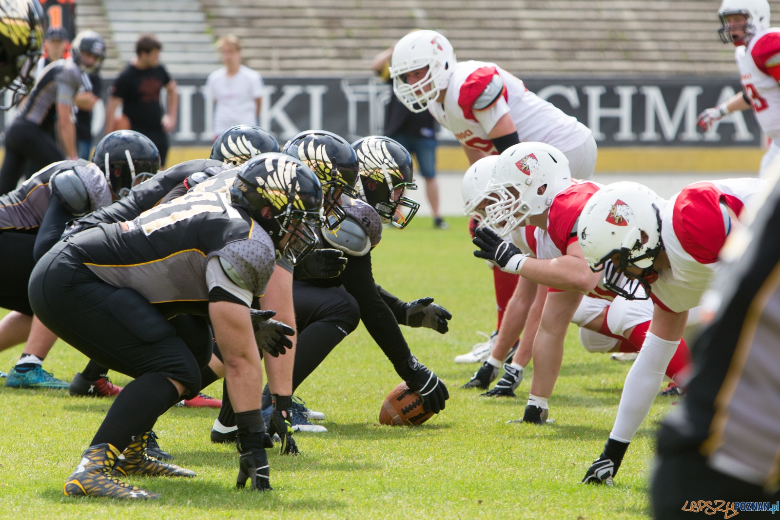 Patrioci Poznań - Seahawks Gdynia Foto: lepszyPOZNAN.pl/Piotr Rychter Patrioci Poznań - Seahawks Gdynia Foto: lepszyPOZNAN.pl/Piotr Rychter