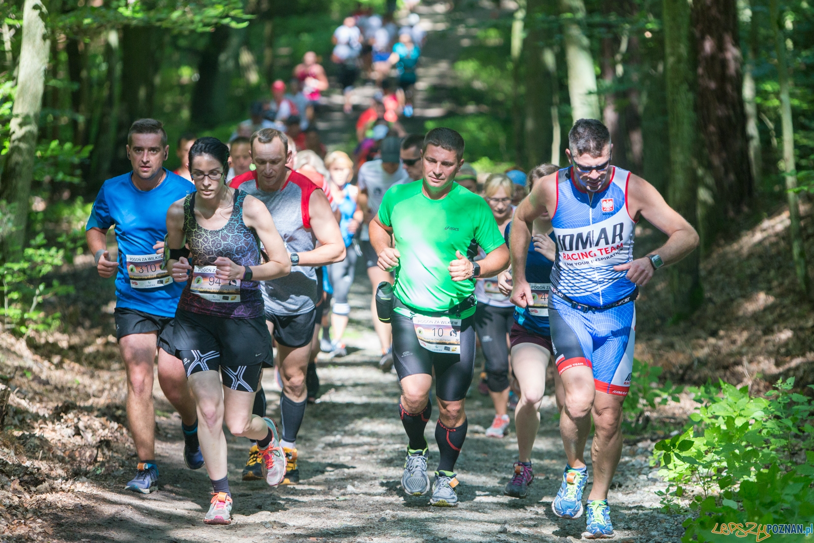 Pogoń za Wilkiem 2017 Foto: lepszyPOZNAN.pl/Piotr Rychter Pogoń za Wilkiem 2017 Foto: lepszyPOZNAN.pl/Piotr Rychter