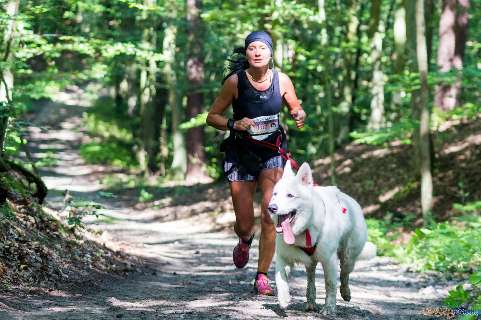 Pogoń za Wilkiem Foto: lepszyPOZNAN.pl / Ewelina Jaśkowiak Pogoń za Wilkiem Foto: lepszyPOZNAN.pl / Ewelina Jaśkowiak
