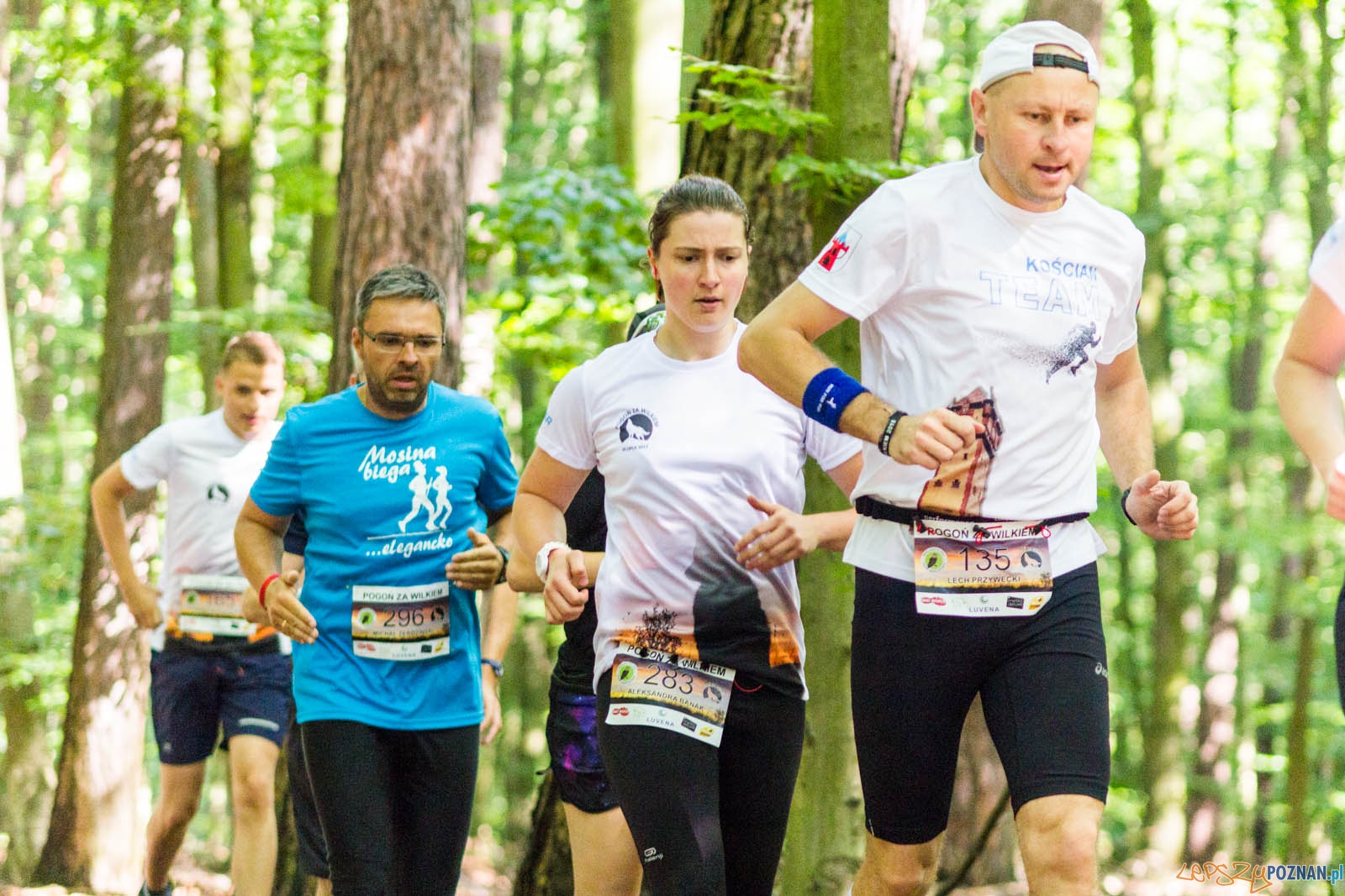 Pogoń za Wilkiem Foto: lepszyPOZNAN.pl / Ewelina Jaśkowiak Pogoń za Wilkiem Foto: lepszyPOZNAN.pl / Ewelina Jaśkowiak