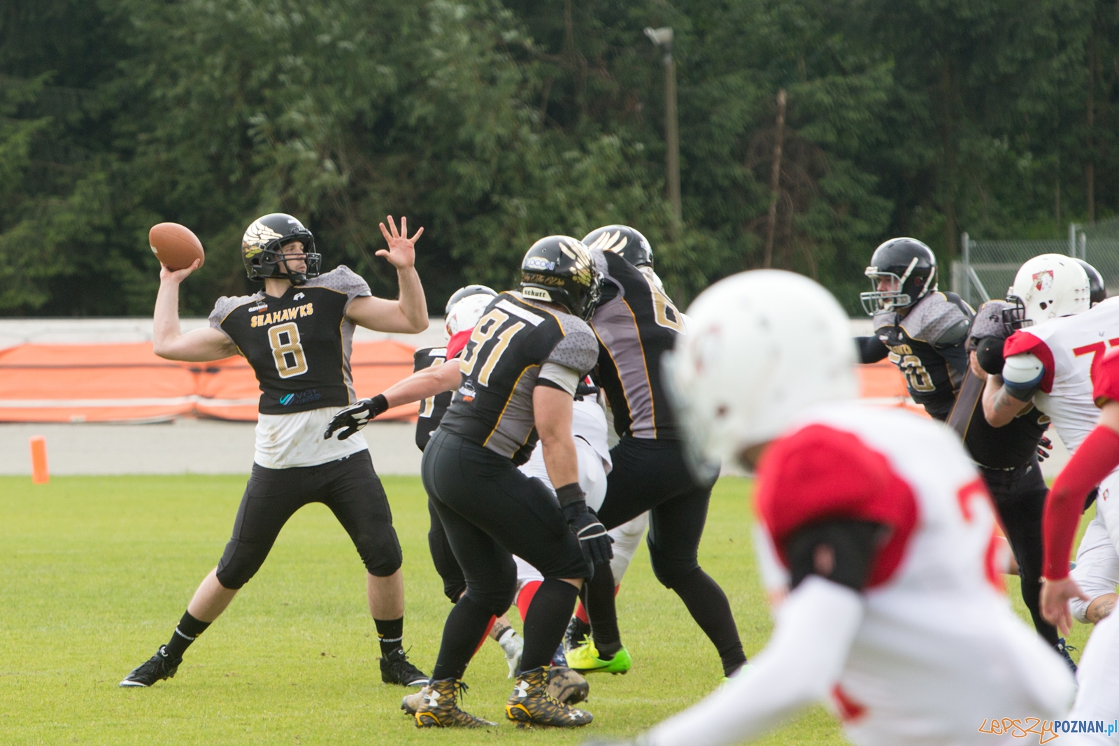 Patrioci Poznań - Seahawks Gdynia Foto: lepszyPOZNAN.pl/Piotr Rychter Patrioci Poznań - Seahawks Gdynia Foto: lepszyPOZNAN.pl/Piotr Rychter