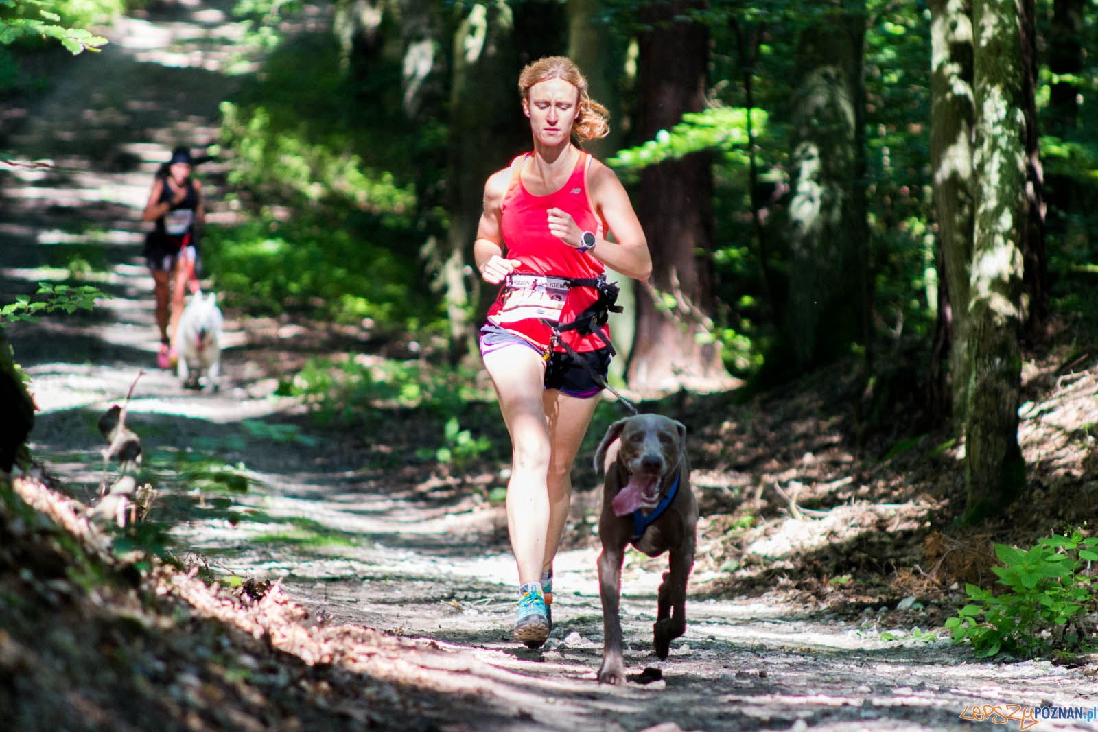 Pogoń za Wilkiem Foto: lepszyPOZNAN.pl / Ewelina Jaśkowiak Pogoń za Wilkiem Foto: lepszyPOZNAN.pl / Ewelina Jaśkowiak