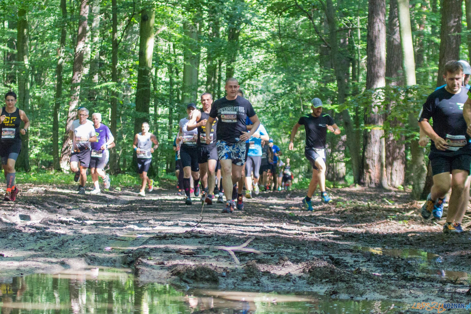 Pogoń za Wilkiem Foto: lepszyPOZNAN.pl / Ewelina Jaśkowiak Pogoń za Wilkiem Foto: lepszyPOZNAN.pl / Ewelina Jaśkowiak