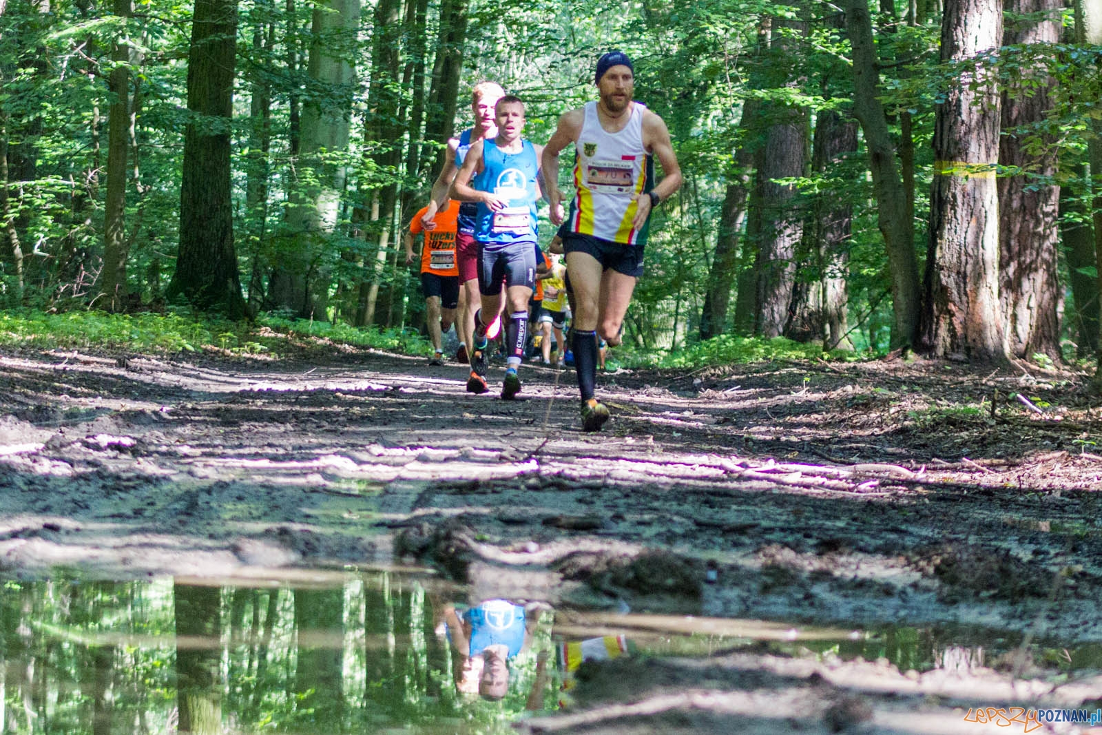 Pogoń za Wilkiem Foto: lepszyPOZNAN.pl / Ewelina Jaśkowiak Pogoń za Wilkiem Foto: lepszyPOZNAN.pl / Ewelina Jaśkowiak