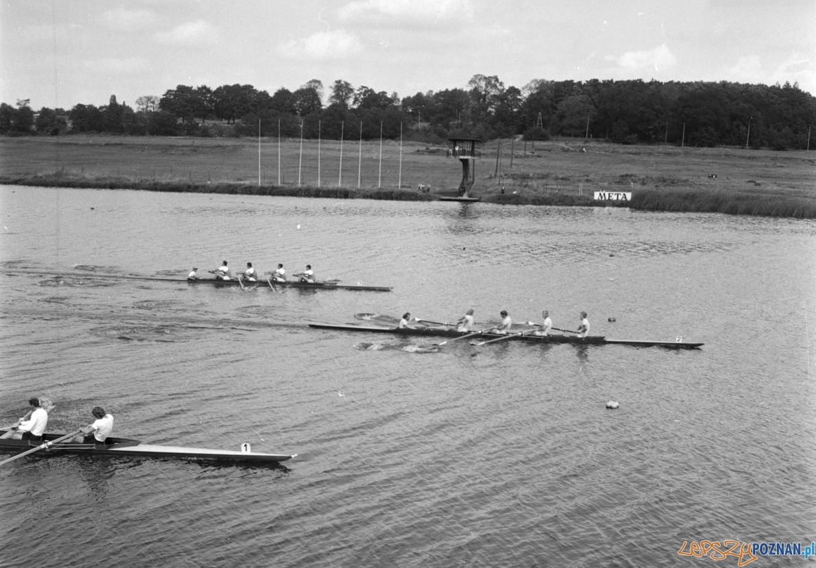Malta -Mistrzostwa Polski w wioślarstwue 10.08.1974 Foto: Stanisław Wiktor / Cyryl Malta -Mistrzostwa Polski w wioślarstwue 10.08.1974 Foto: Stanisław Wiktor / Cyryl