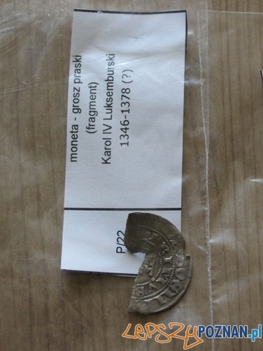 Monety znalezione podczas nielegalnych wykopalisk Foto: Policja Poznań Monety znalezione podczas nielegalnych wykopalisk Foto: Policja Poznań