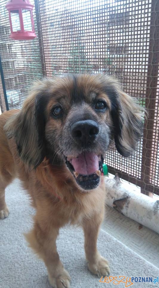 Julka Mrw Tadziu emerycik Foto: Julka Mrw Tadziu emerycik Foto: