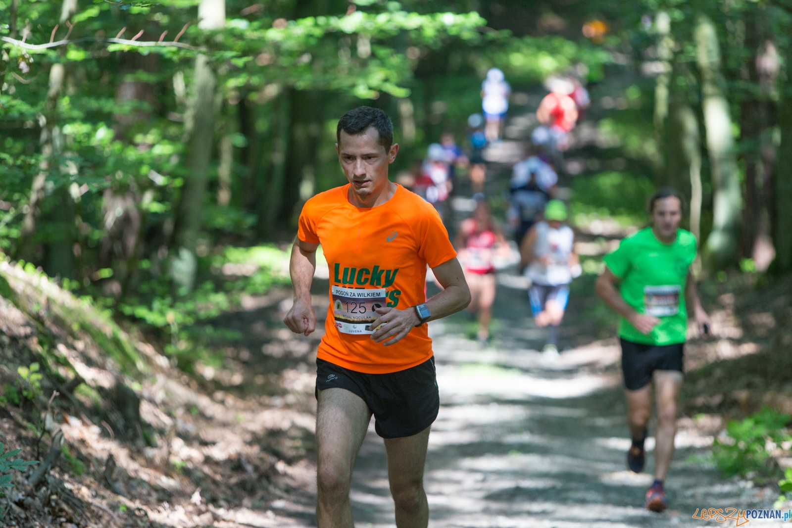 Pogoń za Wilkiem 2017 Foto: lepszyPOZNAN.pl/Piotr Rychter Pogoń za Wilkiem 2017 Foto: lepszyPOZNAN.pl/Piotr Rychter