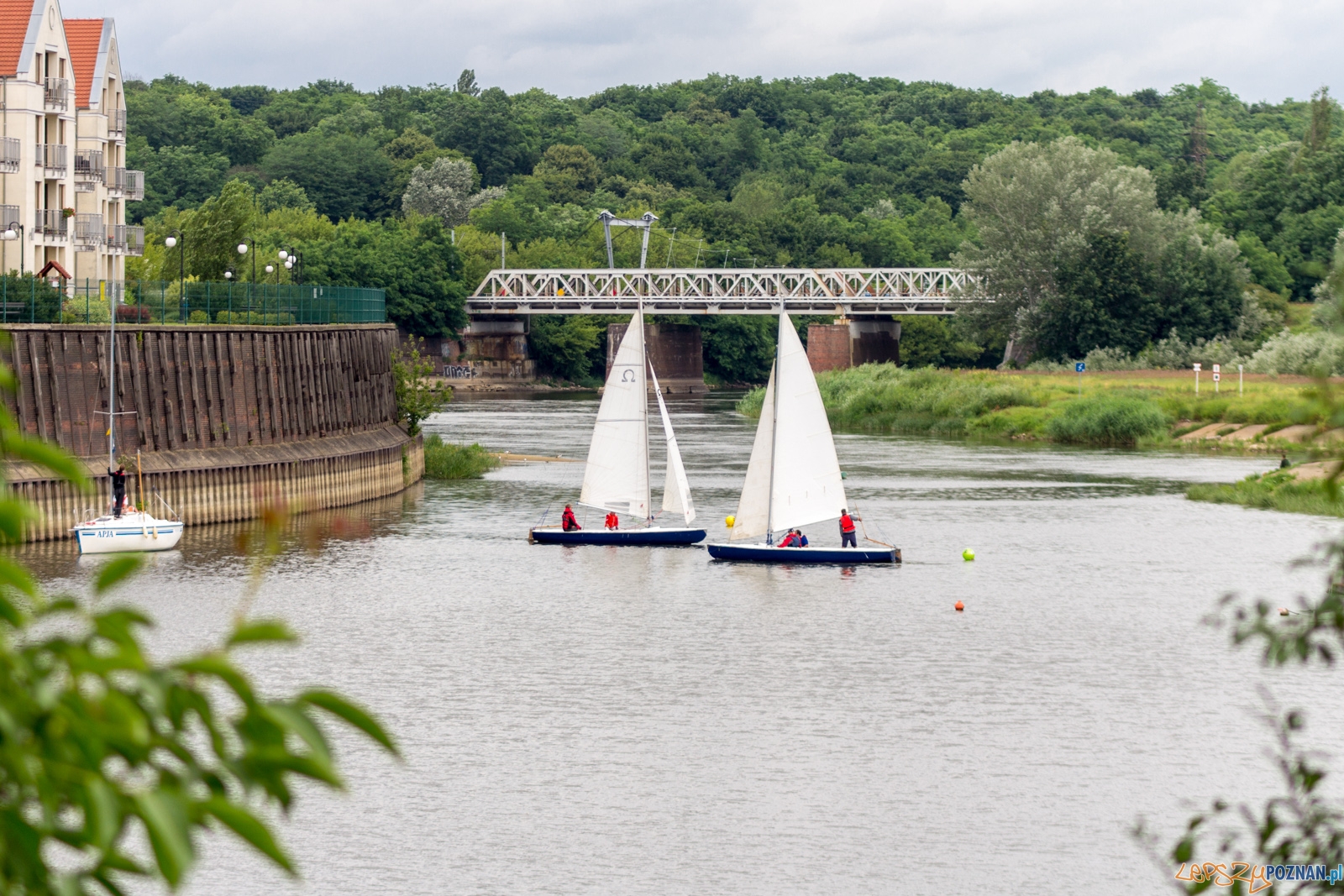 Turystyczno-rekreacyjne regaty "Rzeczny Match Racing" Foto: lepszyPOZNAN.pl / Ewelina Jaśkowiak Turystyczno-rekreacyjne regaty "Rzeczny Match Racing" Foto: lepszyPOZNAN.pl / Ewelina Jaśkowiak