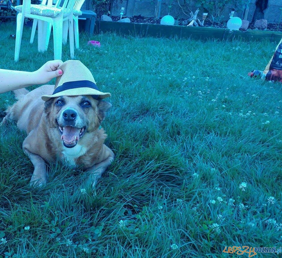 Katarzyna Jakubowska Beta Foto: Katarzyna Jakubowska Beta Foto: