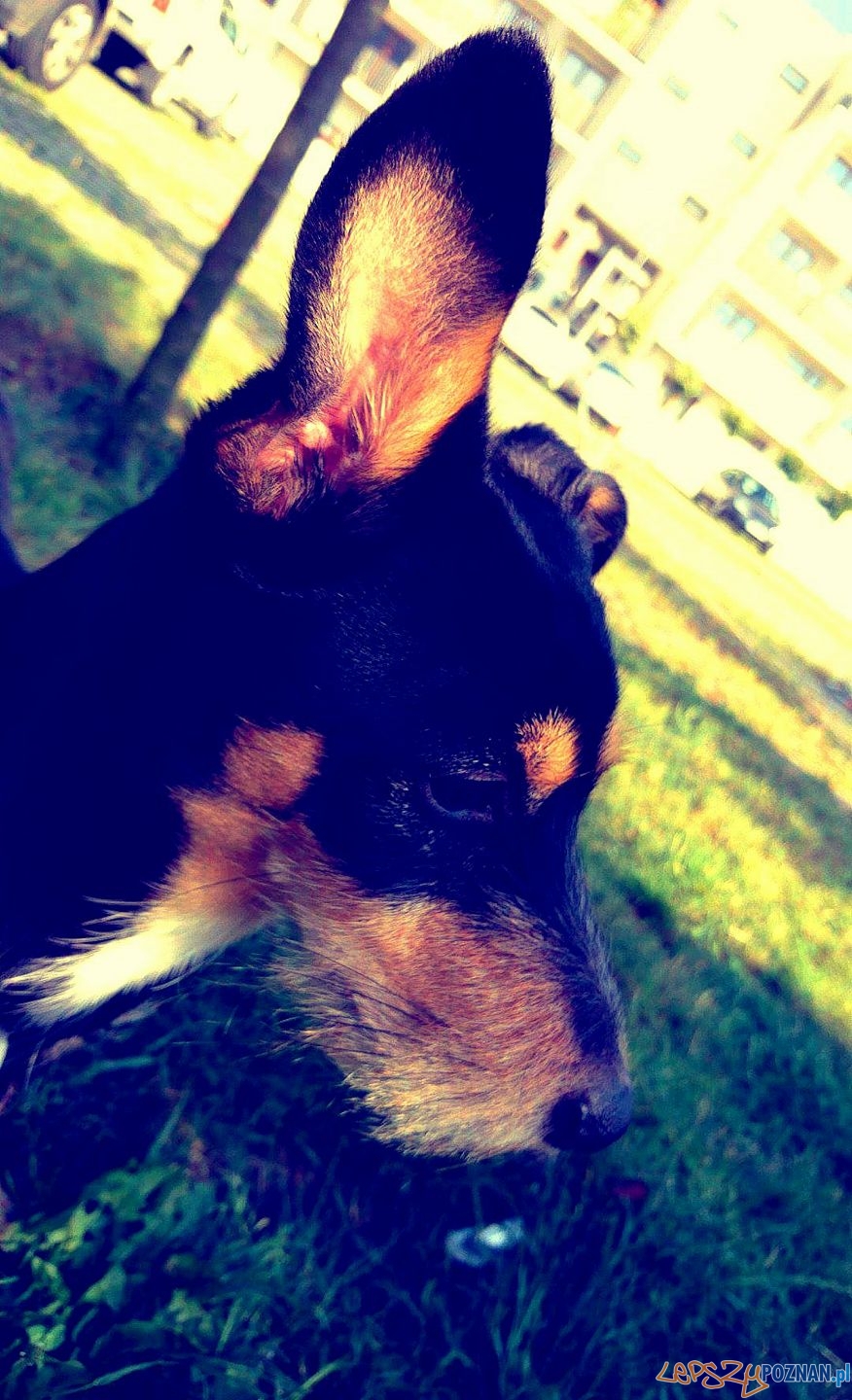 Arleta Sitarska Foto: Arleta Sitarska Foto: