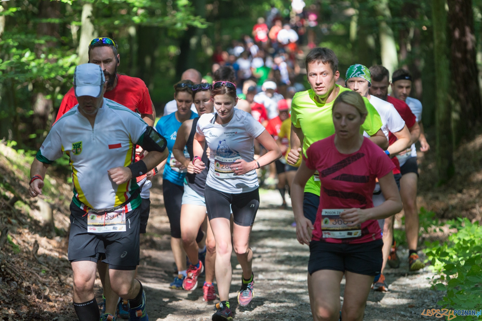 Pogoń za Wilkiem 2017 Foto: lepszyPOZNAN.pl/Piotr Rychter Pogoń za Wilkiem 2017 Foto: lepszyPOZNAN.pl/Piotr Rychter