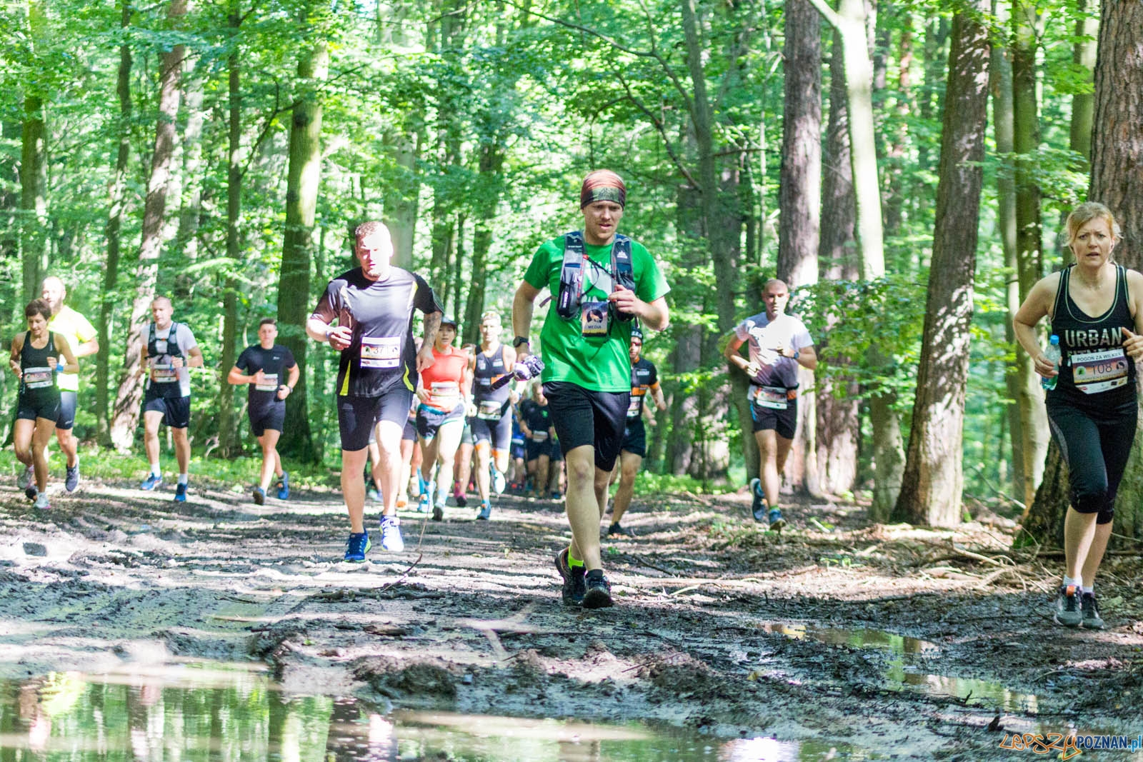 Pogoń za Wilkiem Foto: lepszyPOZNAN.pl / Ewelina Jaśkowiak Pogoń za Wilkiem Foto: lepszyPOZNAN.pl / Ewelina Jaśkowiak