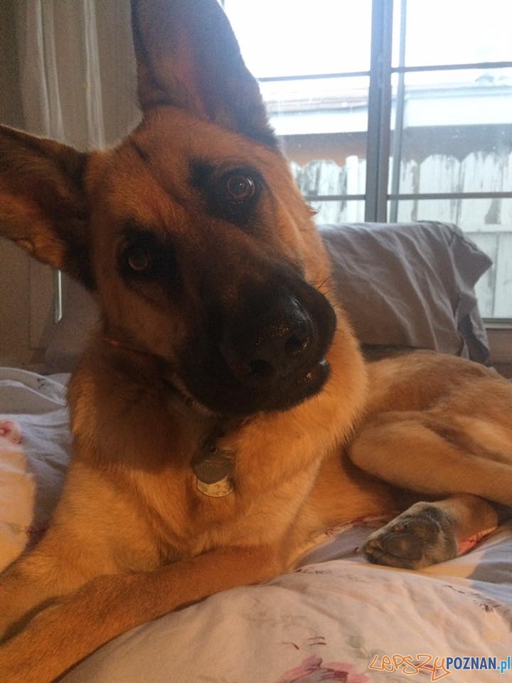 Hanna Adi Foto: Hanna Adi Foto: