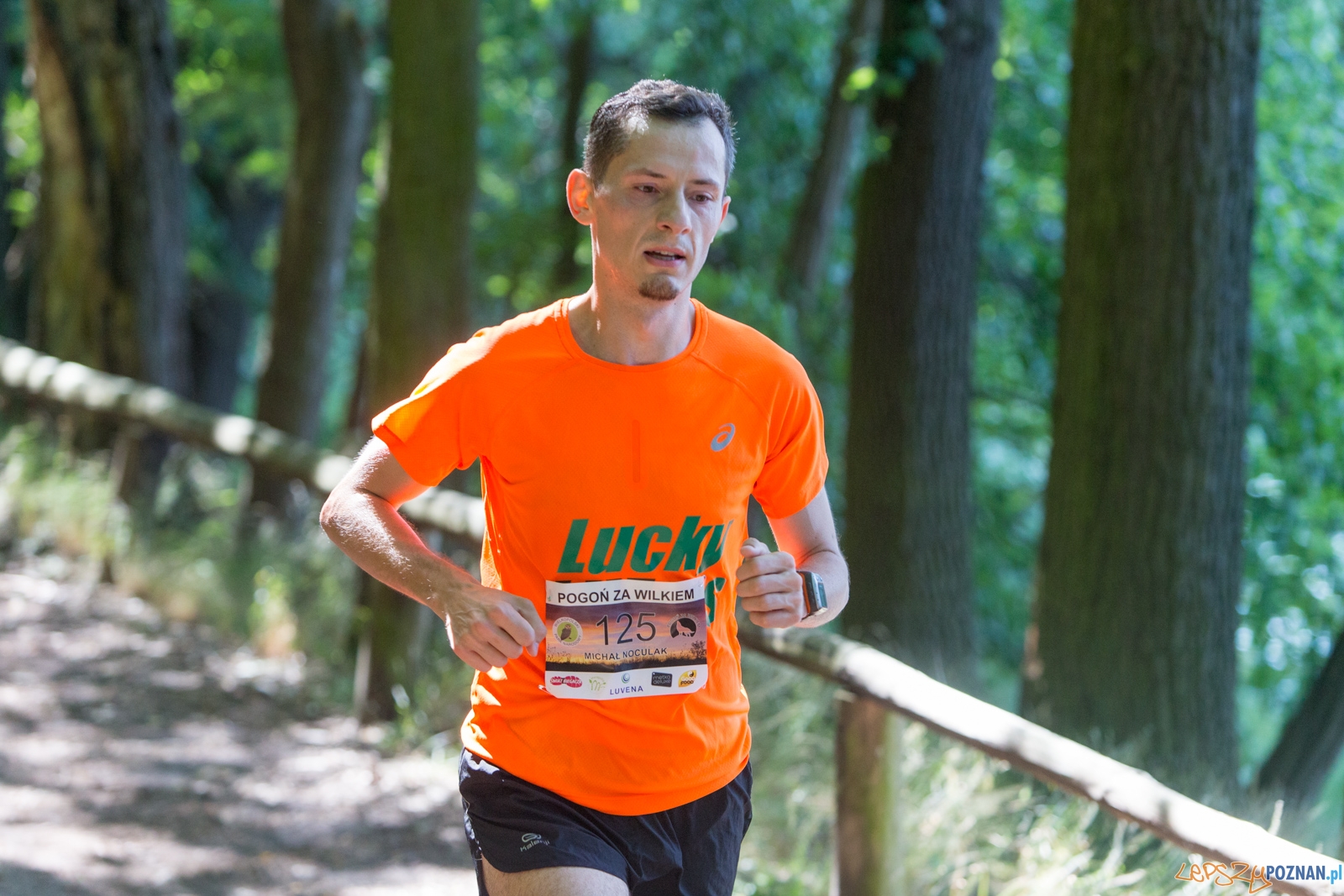 Pogoń za Wilkiem 2017 Foto: lepszyPOZNAN.pl/Piotr Rychter Pogoń za Wilkiem 2017 Foto: lepszyPOZNAN.pl/Piotr Rychter