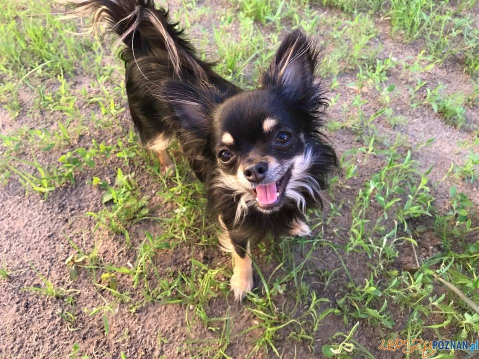 Magdalena Musielak Foto: Magdalena Musielak Foto: