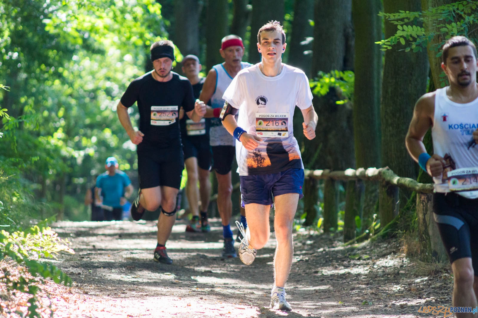 Pogoń za Wilkiem Foto: lepszyPOZNAN.pl / Ewelina Jaśkowiak Pogoń za Wilkiem Foto: lepszyPOZNAN.pl / Ewelina Jaśkowiak