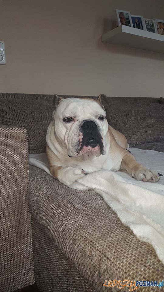 Madzia Kuzlak Alvaro Foto: Madzia Kuzlak Alvaro Foto: