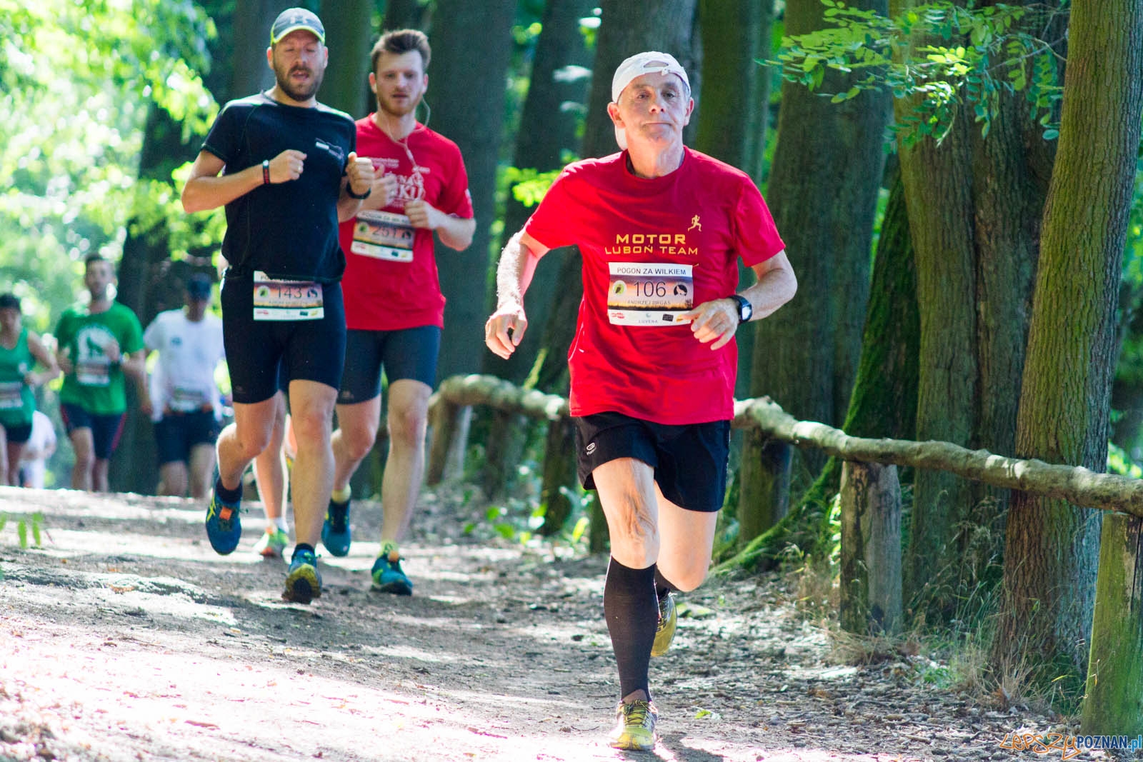 Pogoń za Wilkiem Foto: lepszyPOZNAN.pl / Ewelina Jaśkowiak Pogoń za Wilkiem Foto: lepszyPOZNAN.pl / Ewelina Jaśkowiak