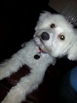 Anna Tomaszewska Jackson Foto: Anna Tomaszewska Jackson Foto: