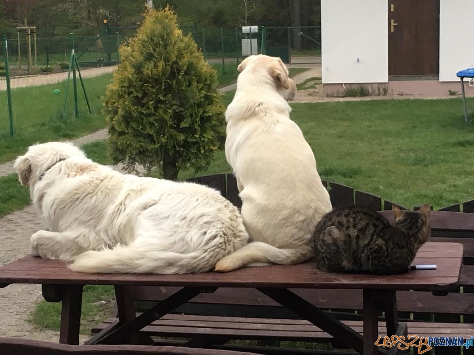 Izabela Rybacka Domowy monitoring Foto: Izabela Rybacka Domowy monitoring Foto: