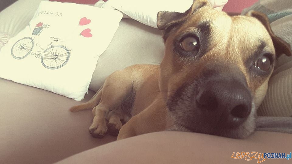 Magdalena Hofman Foto: Magdalena Hofman Foto: