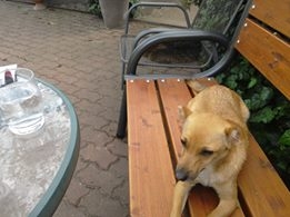 Katarzyna Wieczorek Stefa Foto: Katarzyna Wieczorek Stefa Foto: