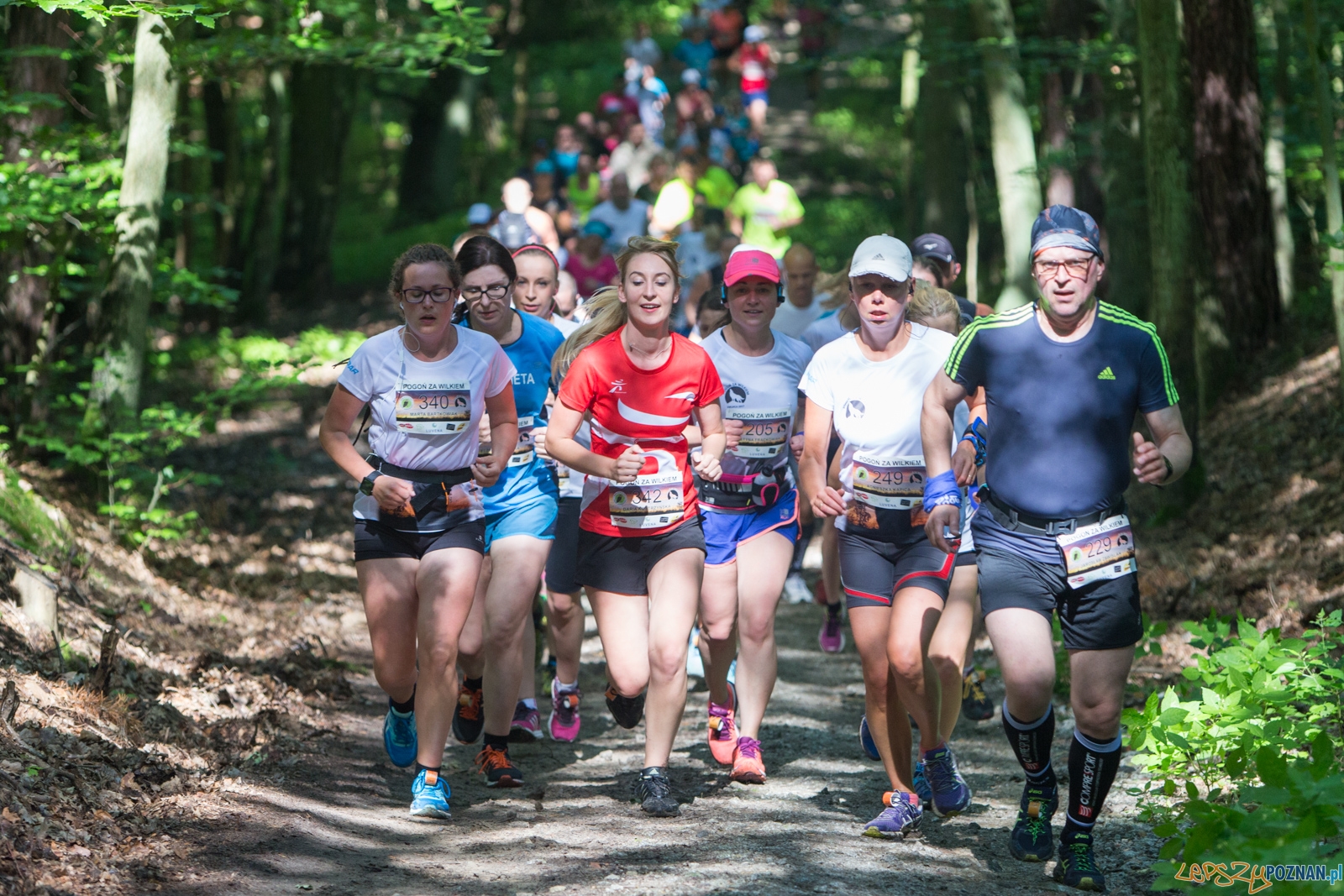 Pogoń za Wilkiem 2017 Foto: lepszyPOZNAN.pl/Piotr Rychter Pogoń za Wilkiem 2017 Foto: lepszyPOZNAN.pl/Piotr Rychter